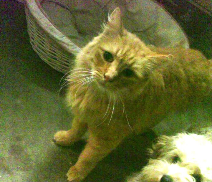 场馆更新换代应用环保节能新技术,场馆智能化改造